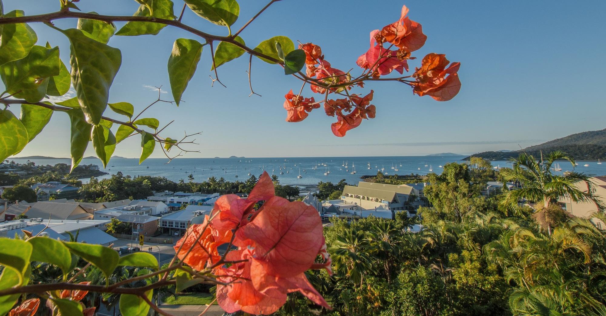 At Water'S Edge Resort Airlie Beach Eksteriør bilde